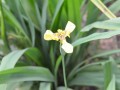 Tn 0544 DSC 5867